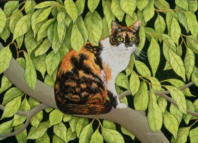 Feuilles, 1994 - Ditz