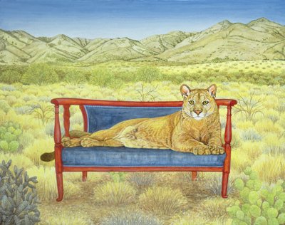 Le lion de montagne de Miller - Ditz