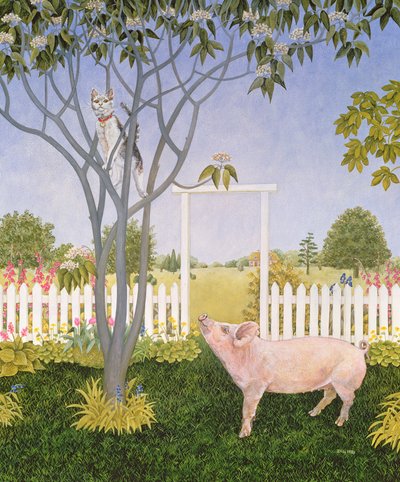 Cochon et chat - Ditz