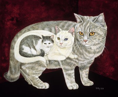 Chat russe - Ditz