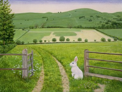 Lapin de printemps - Ditz