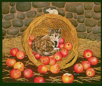 La Souris Panier - Ditz