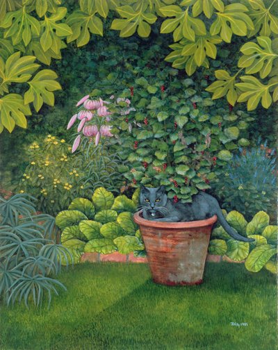 Le chat du pot de fleurs - Ditz