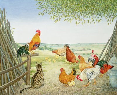 Le coq et le chat - Ditz