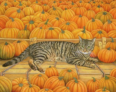La Citrouille-Chat - Ditz