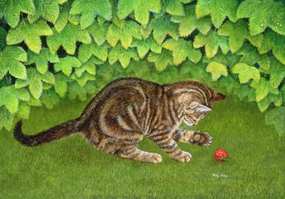 Le Chaton-Fraise - Ditz