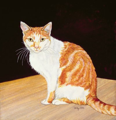 Thomas - Ditz