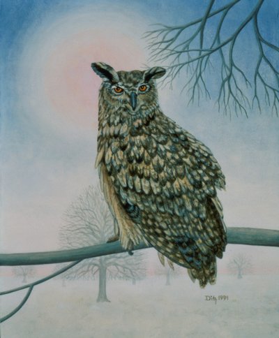 Hibou d