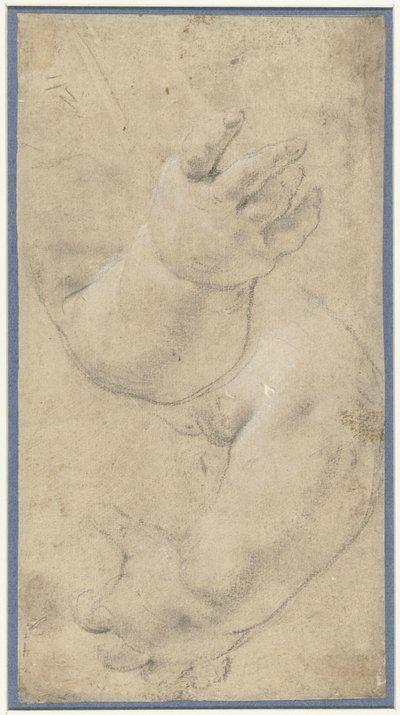 Étude de deux bras d