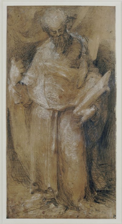 Apôtre (saint Barthélemy) - Domenico Beccafumi