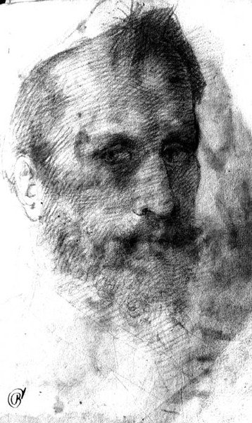 Homme barbu - Domenico Beccafumi