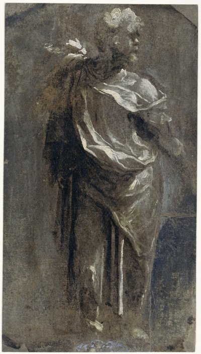 Publius Mutius - Domenico Beccafumi