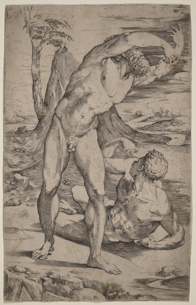 Deux nus masculins faisant des gestes dans un paysage - Domenico Beccafumi