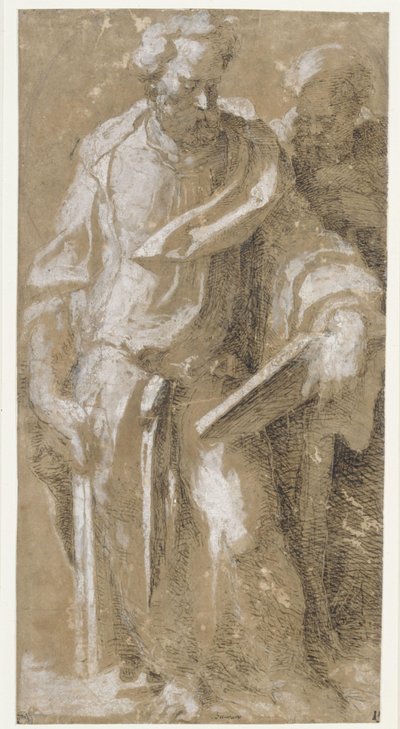 Deux apôtres - Domenico Beccafumi