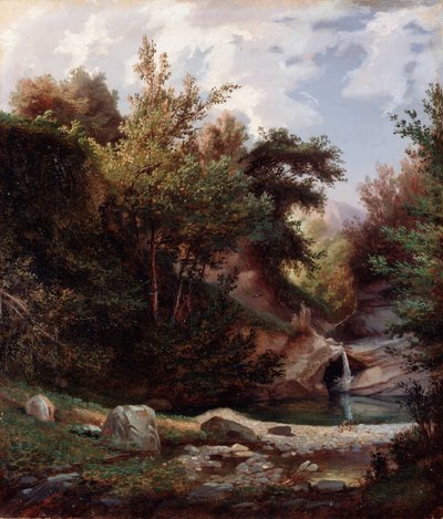 Paysage de nature, sous-bois et ruisseau avec cascade - Domenico Cambiaso