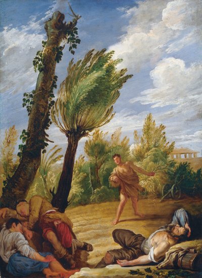 La parabole du blé et de l