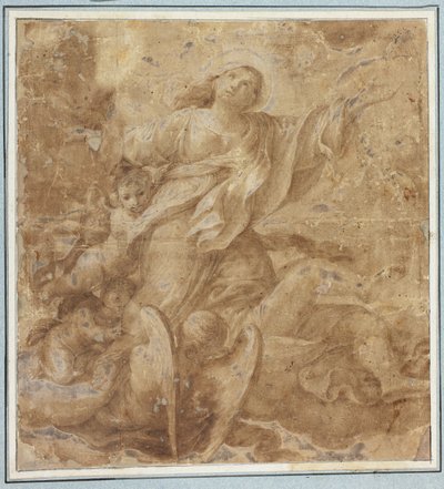 Assomption de la Vierge - Domenico Maria Canuti