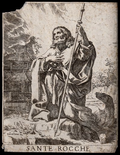  - Domenico Maria Canuti