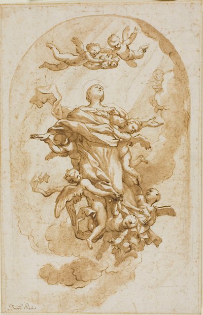 Assomption de la Vierge - Domenico Piola