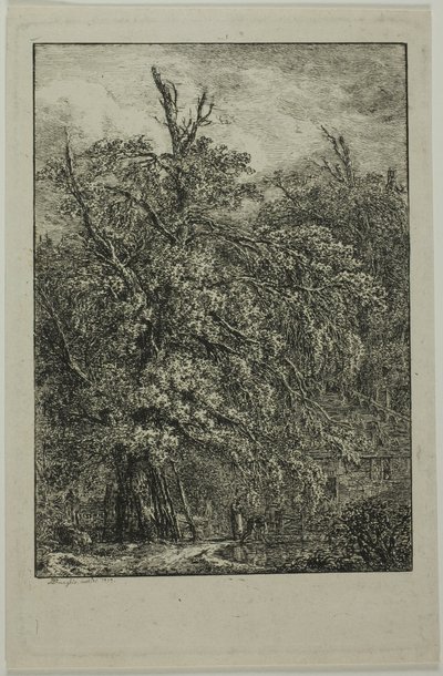 Grand arbre - Domenico Quaglio