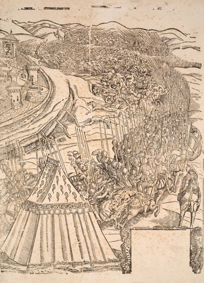 Prise de Goleta à Tunis par Charles V - Domenico dei Franceschi