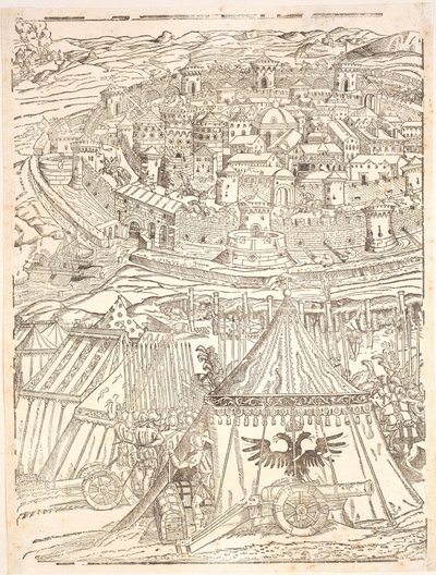 Prise de Goleta à Tunis par Charles V - Domenico dei Franceschi
