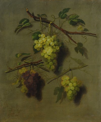 Nature morte, 1738 - Dominicus Van der Smissen