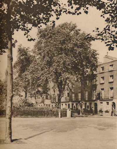 Au pays des pensions : Les platanes de Torrington Square, vers 1935 - Donald McLeish