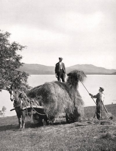 Chargement de foin sur un chariot sur les rives du Loch Lomond, Écosse - Donald McLeish