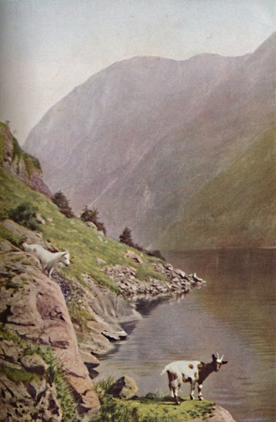 Norvège, années 1930 - Donald McLeish