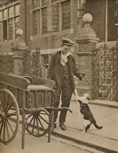 Un des métiers les mieux établis : Un client et le marchand de viande pour chats, vers 1935 - Donald McLeish