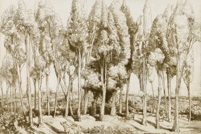 Chant de la route no. 5 - Donald Shaw MacLaughlan