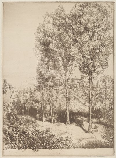 Lumière du soleil et ombres, n° 3 - Donald Shaw MacLaughlan