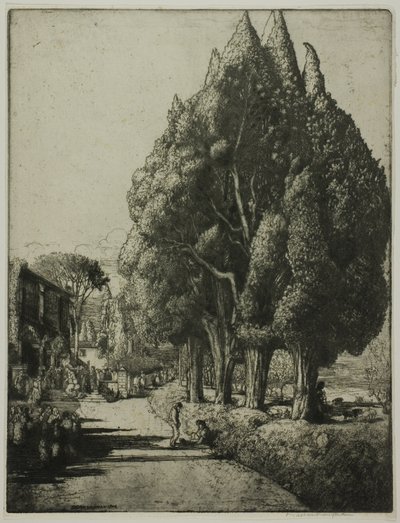Le Bosquet de cyprès - Donald Shaw MacLaughlan