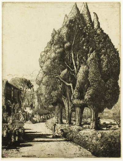 Le bosquet de cyprès - Donald Shaw MacLaughlan