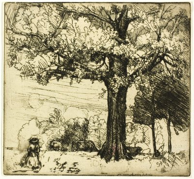 Le grand chêne - Donald Shaw MacLaughlan