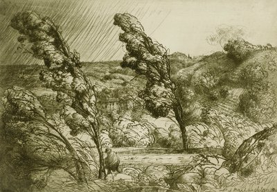 La Tempête - Donald Shaw MacLaughlan