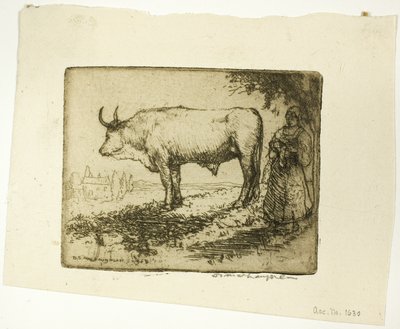 Le bœuf blanc - Donald Shaw MacLaughlan