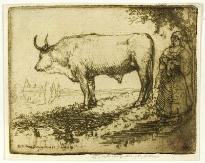 Le bœuf blanc - Donald Shaw MacLaughlan