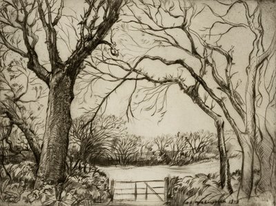 Tragenna Wood - Donald Shaw MacLaughlan