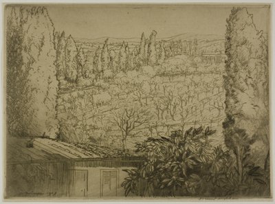 Toscane - Donald Shaw MacLaughlan