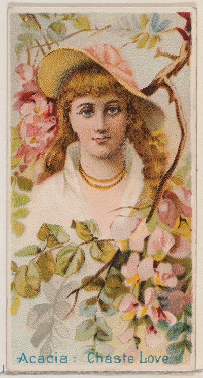 Acacia : Amour chaste, de la série Beautés florales et langage des fleurs N75 pour Duk - Donaldson Brothers