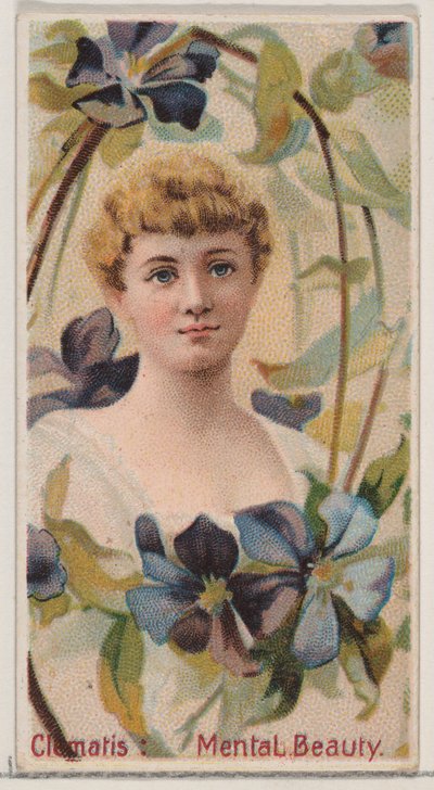 Clématite : Beauté mentale, de la série Beautés florales et langage des fleurs N75 - Donaldson Brothers