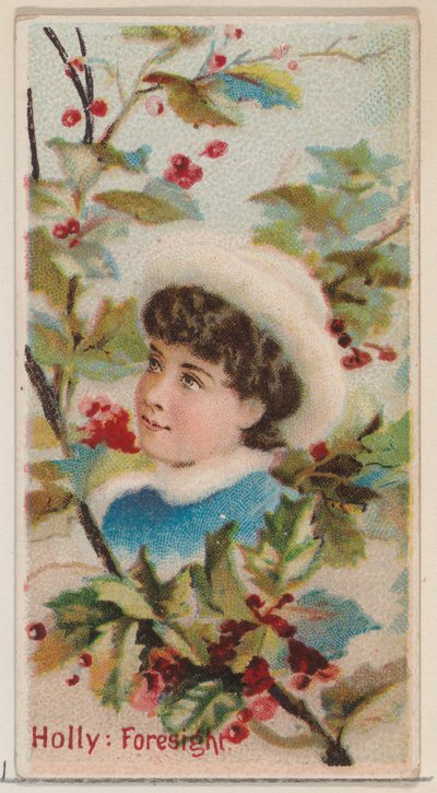 Houx : Prévoyance, de la série Beautés florales et langage des fleurs N75 pour Duke, 1892 - Donaldson Brothers