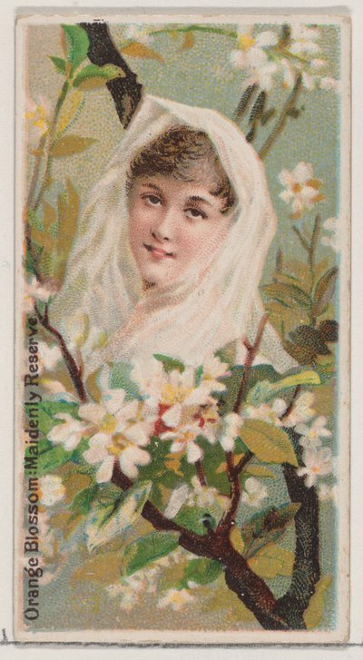 Fleur d
