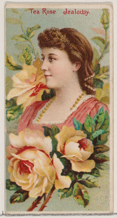Rose thé : Jalousie, de la série Beautés florales et langage des fleurs N75 pour Duke..., 1892 - Donaldson Brothers