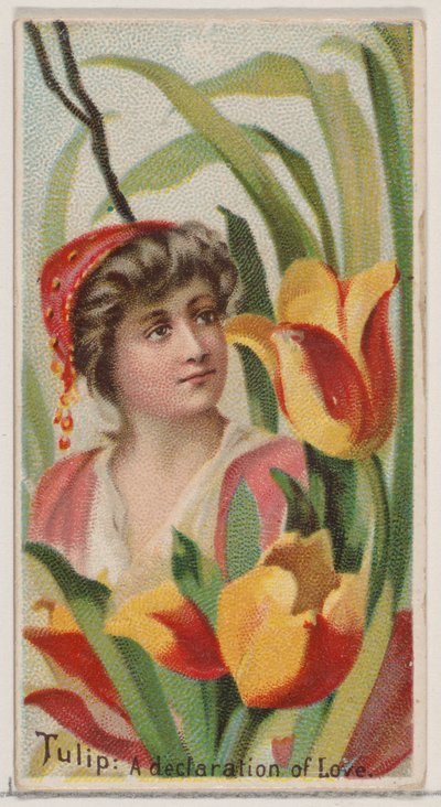 Tulipe : Une déclaration d