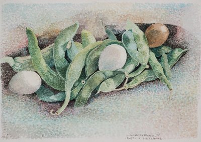 Les haricots de tante Caterina - Donatella Merlo