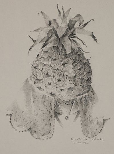 Ananas - Donatella Merlo