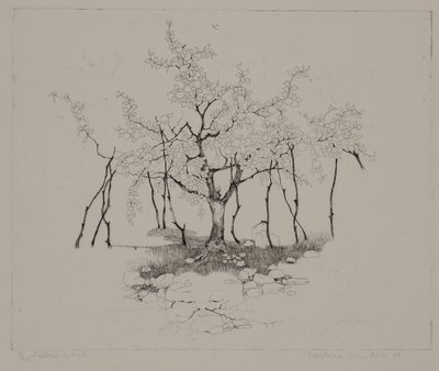 Le pommier - Donatella Merlo